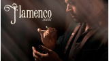 Flamenco Coins by Brendan Rodrigues Flamenco Coins by Brendan Rodrigues