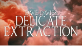Dave Davies - Delicate Extraction Dave Davies - Delicate Extraction