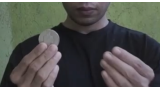 Rogelio Diaz Mechilina Jr. - G PALM Rogelio Diaz Mechilina Jr. - G PALM