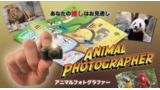 Proma – Animal Photographer Proma – Animal Photographer