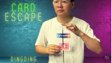 Dingding - The Vault - Card Escape Dingding - The Vault - Card Escape