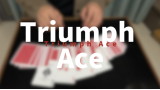 Triumph Ace By Miku W Triumph Ace By Miku W