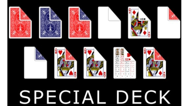 Bicycle Special Deck by Magica Planet - Card Tricks Bicycle Special Deck by Magica Planet - Card Tricks