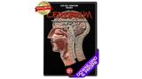 Cerebrum by Dead Rebel Cerebrum by Dead Rebel