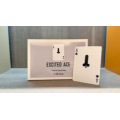 Chiam Yu Sheng – Excited Ace 