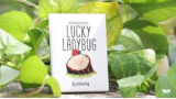 Joshua Ray & Deuce Gala Magic - Lucky Ladybug Joshua Ray & Deuce Gala Magic - Lucky Ladybug