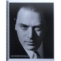 Rebel Without A Pause (Pcam 2001 Lecture Notes) by David Malek