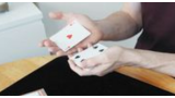 Steven Bridges - Card Evaporation Steven Bridges - Card Evaporation