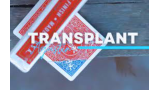 Agustin - Transplant Agustin - Transplant