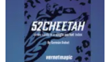 Berman Dabat and Michel - 52 Cheetah Berman Dabat and Michel - 52 Cheetah