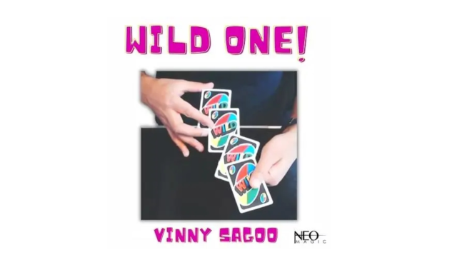 Vinny Sagoo - WILD ONE - 2025 Vinny Sagoo - WILD ONE - 2025