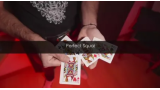 Perfect Squat by Yoann Fontyn Perfect Squat by Yoann Fontyn