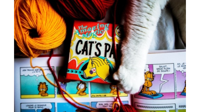 Cats Paw by Daniel Madison - Close-Up Tricks & Street Magic